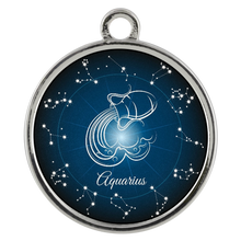Aquarius Zodiac Wickford Bracelet
